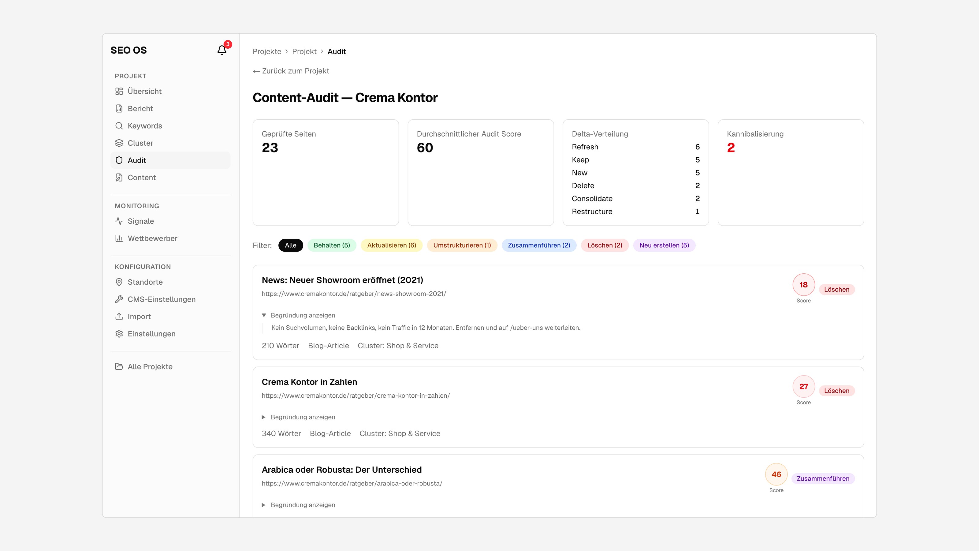 Content Audit mit Kannibalisierung und Begründung
